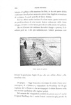 Lachambre e Machuron - Andr�e. Al Polo Nord in pallone 1898 (prima edizione - molte illustrazioni)
