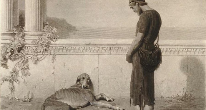 Perch� l?amicizia di Ulisse e Argo non finir� mai - di Carlo Picca