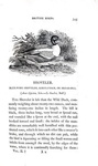 Thomas Bewick - History of british birds - 1797/1804 (prima edizione - con decine di illustrazioni)