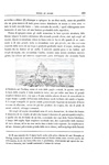Charles Darwin - Viaggio di un naturalista intorno al mondo - Torino 1872 (prima edizione italiana) Charles Darwin - Viaggio di un naturalista intorno al mondo - Torino 1872 (prima edizione italiana)