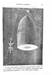 Jules Verne - Intorno alla luna - Milano, Tipografia Lombarda 1874 (45 illustrazioni xilografiche)