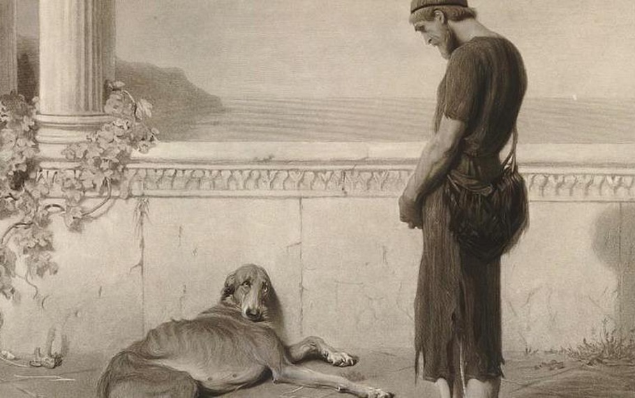 Perch� l?amicizia di Ulisse e Argo non finir� mai - di Carlo Picca Perch� l?amicizia di Ulisse e Argo non finir� mai - di Carlo Picca