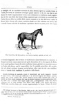 Charles Darwin - Variazione degli animali e delle piante - Torino 1876 (prima edizione italiana) Charles Darwin - Variazione degli animali e delle piante - Torino 1876 (prima edizione italiana)