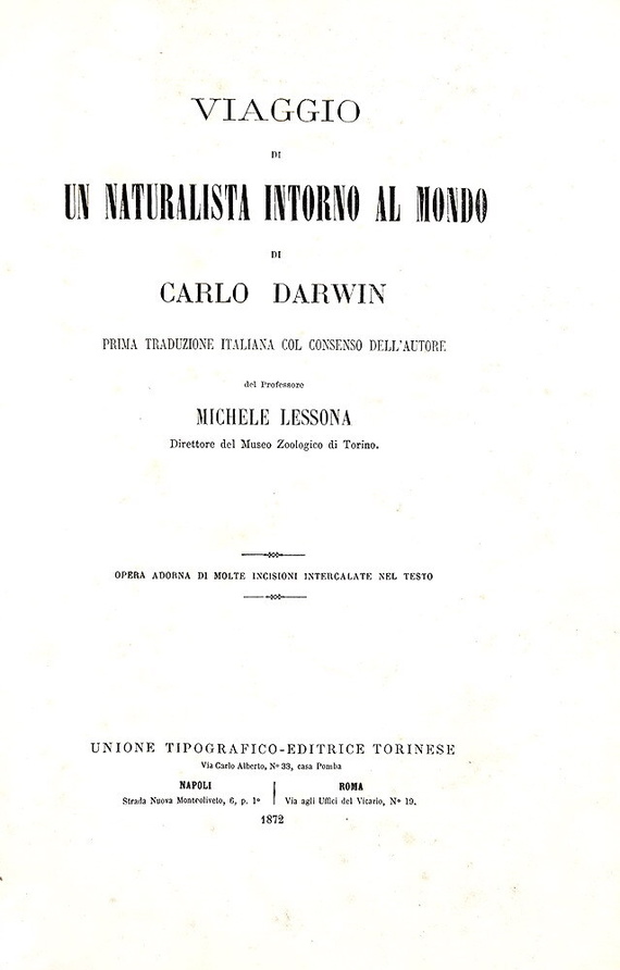 Charles Darwin - Viaggio di un naturalista intorno al mondo - Torino 1872 (prima edizione italiana) Charles Darwin - Viaggio di un naturalista intorno al mondo - Torino 1872 (prima edizione italiana)