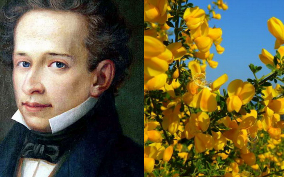 Giacomo Leopardi - La ginestra o Il fiore del deserto Giacomo Leopardi - La ginestra o Il fiore del deserto