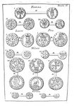 Carli - Delle monete e dell'instituzione delle zecche d'Italia - 1754/60 (rarissima prima edizione) Carli - Delle monete e dell'instituzione delle zecche d'Italia - 1754/60 (rarissima prima edizione)