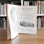 Guglielmo Jervis - Dell'oro in natura. La sua storia - Torino 1881 (prima edizione - figurato) Guglielmo Jervis - Dell'oro in natura. La sua storia - Torino 1881 (prima edizione - figurato)