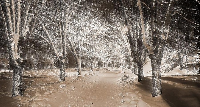 Antonia Pozzi - Notturno invernale Antonia Pozzi - Notturno invernale