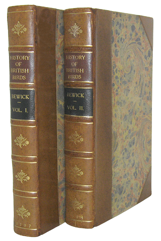 Thomas Bewick - History of british birds - 1797/1804 (prima edizione - con decine di illustrazioni) Thomas Bewick - History of british birds - 1797/1804 (prima edizione - con decine di illustrazioni)