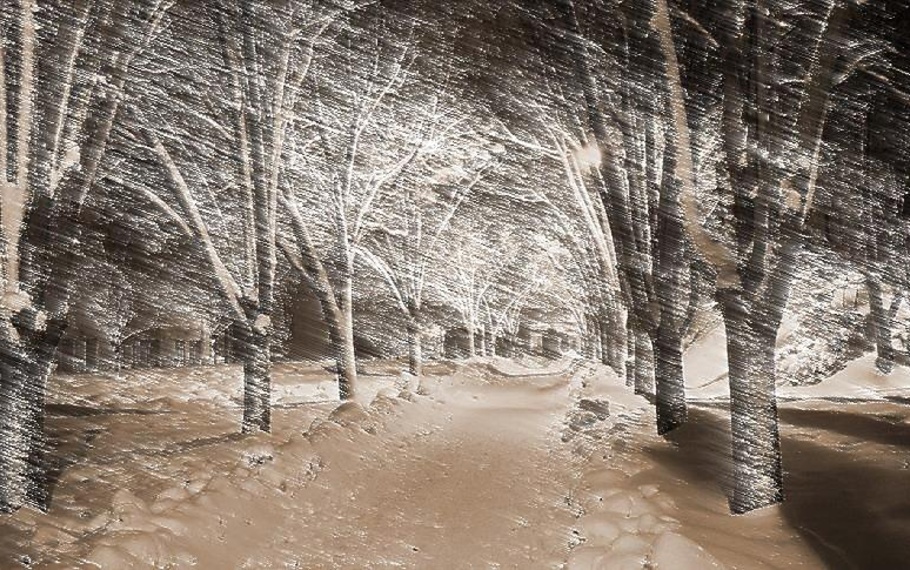Antonia Pozzi - Notturno invernale Antonia Pozzi - Notturno invernale