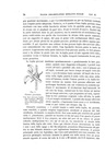Charles Darwin - I movimenti e le abitudini delle piante rampicanti - 1878 (prima edizione italiana) Charles Darwin - I movimenti e le abitudini delle piante rampicanti - 1878 (prima edizione italiana)