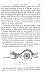 Garelli - Manuale di viticoltura, 1872 e La coltivazione della vite in Italia, 1870 (prime edizioni)