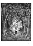 Gustave Dor� - Il libro delle fate di G. Perrault illustrato - Milano 1884 (con 40 belle tavole) Gustave Dor� - Il libro delle fate di G. Perrault illustrato - Milano 1884 (con 40 belle tavole)