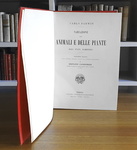 Charles Darwin - Variazione degli animali e delle piante - Torino 1876 (prima edizione italiana) Charles Darwin - Variazione degli animali e delle piante - Torino 1876 (prima edizione italiana)