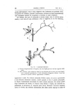 Charles Darwin - I movimenti e le abitudini delle piante rampicanti - 1878 (prima edizione italiana) Charles Darwin - I movimenti e le abitudini delle piante rampicanti - 1878 (prima edizione italiana)