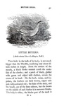 Thomas Bewick - History of british birds - 1797/1804 (prima edizione - con decine di illustrazioni)