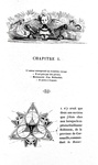 Jonathan Swift - Voyages de Gulliver illustr�e par Grandville - Paris 1838 (rara prima edizione) Jonathan Swift - Voyages de Gulliver illustr�e par Grandville - Paris 1838 (rara prima edizione)