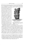 Charles Darwin - La formazione della terra vegetale per l'azione dei lombrici 1882 (prima edizione) Charles Darwin - La formazione della terra vegetale per l'azione dei lombrici 1882 (prima edizione)