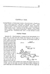 Charles Darwin - Viaggio di un naturalista intorno al mondo - Torino 1872 (prima edizione italiana) Charles Darwin - Viaggio di un naturalista intorno al mondo - Torino 1872 (prima edizione italiana)