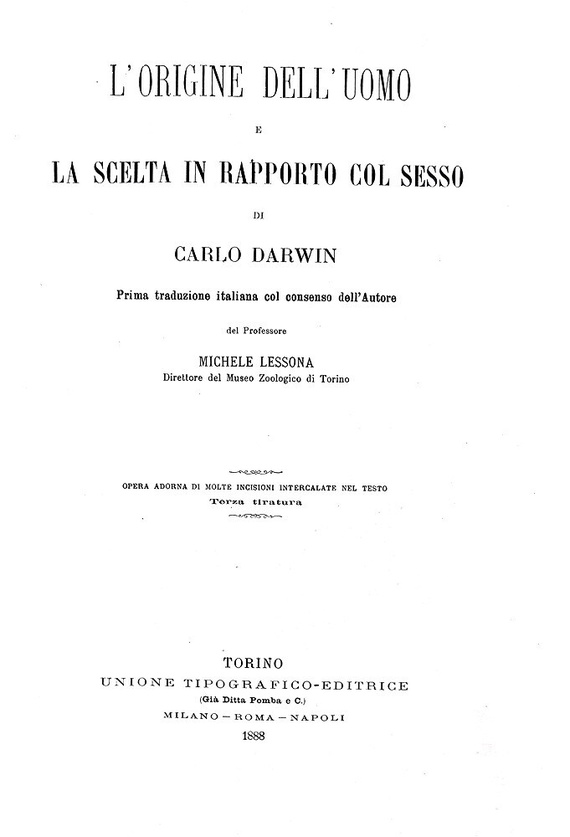 Charles Darwin - L�origine dell'uomo e la scelta in rapporto col sesso - Torino 1888 (con 76 figure) Charles Darwin - L�origine dell'uomo e la scelta in rapporto col sesso - Torino 1888 (con 76 figure)