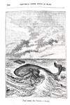 Jules Verne - Ventimila leghe sotto ai mari - Milano, Tipografia Lombarda 1875 (con 104 xilografie) Jules Verne - Ventimila leghe sotto ai mari - Milano, Tipografia Lombarda 1875 (con 104 xilografie)