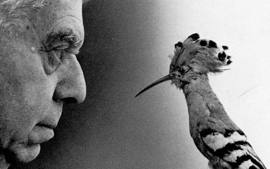 Eugenio Montale - Chiss� se un giorno butteremo le maschere Eugenio Montale - Chiss� se un giorno butteremo le maschere