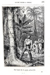 Jules Verne - Ventimila leghe sotto ai mari - Milano, Tipografia Lombarda 1875 (con 104 xilografie) Jules Verne - Ventimila leghe sotto ai mari - Milano, Tipografia Lombarda 1875 (con 104 xilografie)