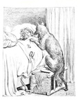 Gustave Dor� - Il libro delle fate di G. Perrault illustrato - Milano 1884 (con 40 belle tavole) Gustave Dor� - Il libro delle fate di G. Perrault illustrato - Milano 1884 (con 40 belle tavole)