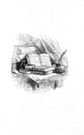 Jonathan Swift - Voyages de Gulliver illustr�e par Grandville - Paris 1838 (rara prima edizione) Jonathan Swift - Voyages de Gulliver illustr�e par Grandville - Paris 1838 (rara prima edizione)