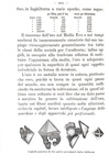 Guglielmo Jervis - Dell'oro in natura. La sua storia - Torino 1881 (prima edizione - figurato) Guglielmo Jervis - Dell'oro in natura. La sua storia - Torino 1881 (prima edizione - figurato)