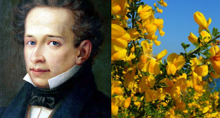 Giacomo Leopardi - La ginestra o Il fiore del deserto Giacomo Leopardi - La ginestra o Il fiore del deserto