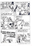 George Orwell - La fattoria degli animali. Libera riduzione illustrata - Roma 1947 (prima edizione)