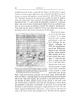 Charles Darwin - La formazione della terra vegetale per l'azione dei lombrici 1882 (prima edizione) Charles Darwin - La formazione della terra vegetale per l'azione dei lombrici 1882 (prima edizione)
