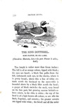 Thomas Bewick - History of british birds - 1797/1804 (prima edizione - con decine di illustrazioni)