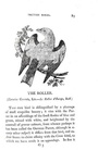 Thomas Bewick - History of british birds - 1797/1804 (prima edizione - con decine di illustrazioni)