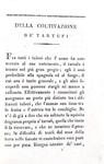 Bornholz - Della coltivazione dei tartufi (e altri tre interessanti saggi) - 1827 (prima edizione) Bornholz - Della coltivazione dei tartufi (e altri tre interessanti saggi) - 1827 (prima edizione)