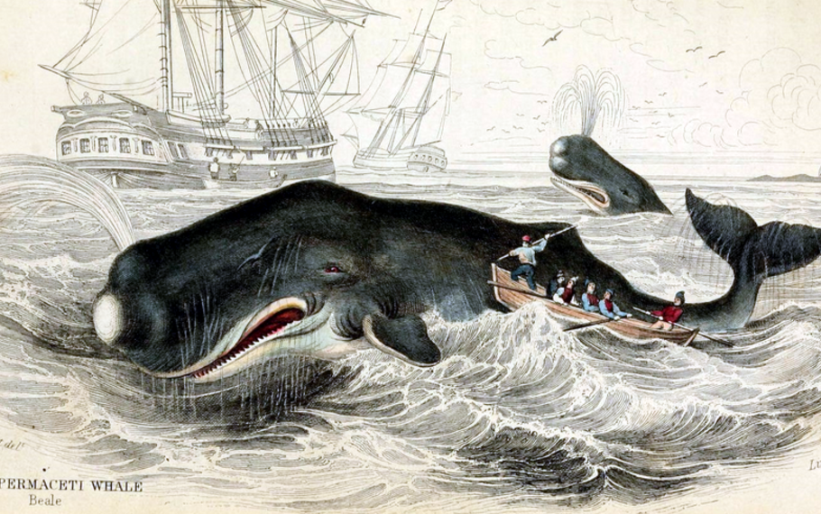 Herman Melville - Moby Dick (incipit) Herman Melville - Moby Dick (incipit)