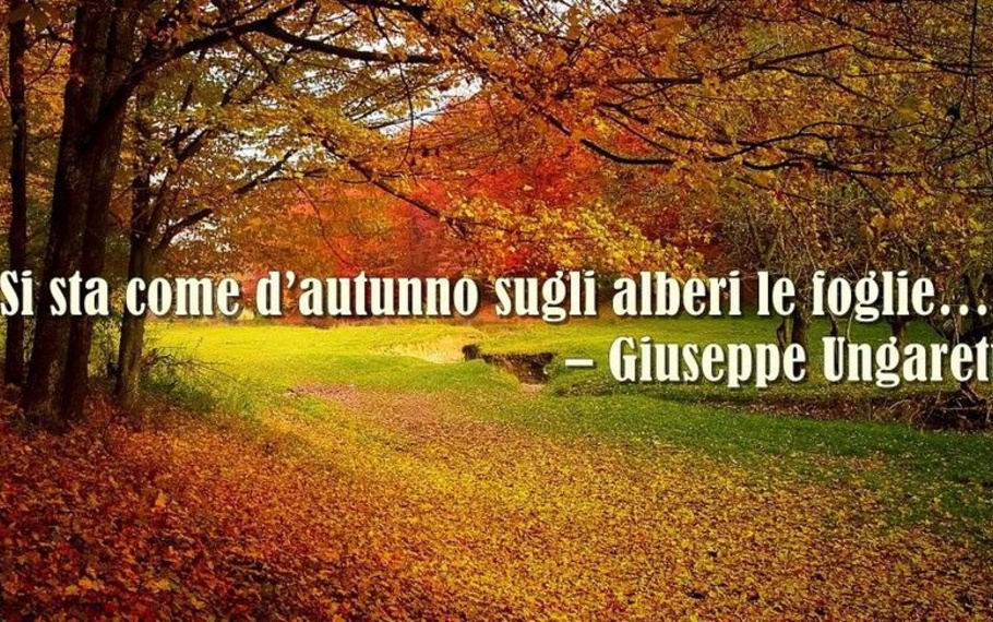 Perch� in questi giorni "si sta come d?autunno sugli alberi le foglie" Perch� in questi giorni "si sta come d?autunno sugli alberi le foglie"
