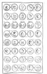 Plinio il Vecchio - Historiae naturalis - Parisiis 1723 (edizione figurata in folio - con 12 tavole) Plinio il Vecchio - Historiae naturalis - Parisiis 1723 (edizione figurata in folio - con 12 tavole)