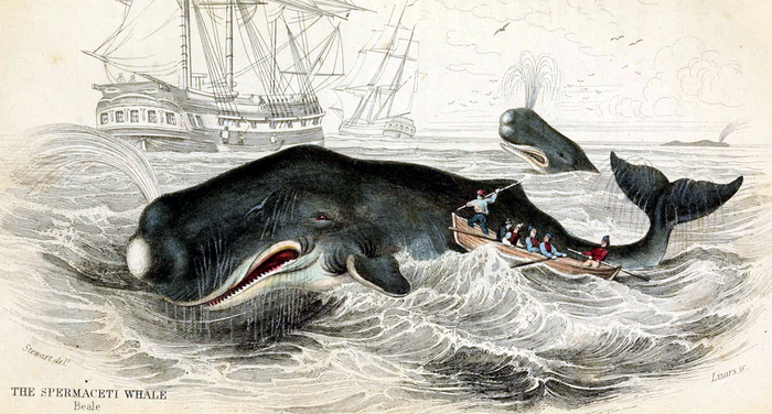 Herman Melville - Moby Dick (incipit) Herman Melville - Moby Dick (incipit)