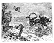Jules Verne - Viaggio al centro della terra. Illustrato con 55 incisioni - Tipografia Lombarda 1874