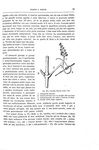 Charles Darwin - I movimenti e le abitudini delle piante rampicanti - 1878 (prima edizione italiana) Charles Darwin - I movimenti e le abitudini delle piante rampicanti - 1878 (prima edizione italiana)