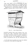 Giovanni Canestrini e Nincenzo Asprea - Apicoltua - Milano, Hoepli 1937 (con 55 illustrazioni) Giovanni Canestrini e Nincenzo Asprea - Apicoltua - Milano, Hoepli 1937 (con 55 illustrazioni)