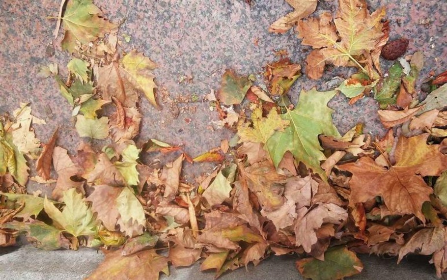 Trilussa - Foglie gialle