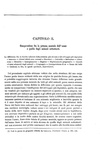 Charles Darwin - L�origine dell'uomo e la scelta in rapporto col sesso - Torino 1888 (con 76 figure) Charles Darwin - L�origine dell'uomo e la scelta in rapporto col sesso - Torino 1888 (con 76 figure)