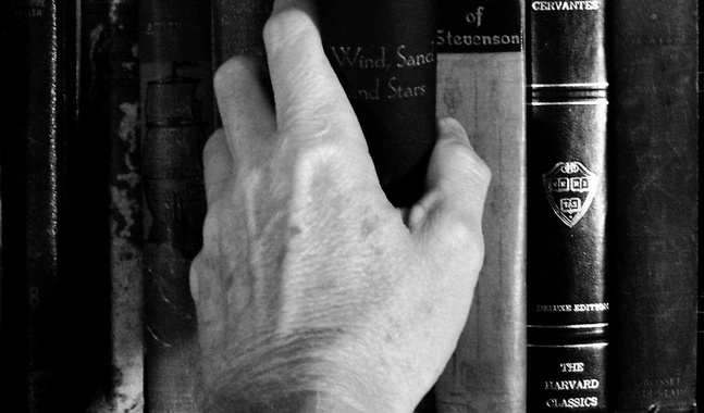 Gina Sobrero - Perch� non prestare i libri