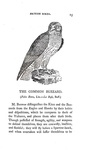 Thomas Bewick - History of british birds - 1797/1804 (prima edizione - con decine di illustrazioni)