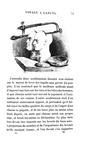Jonathan Swift - Voyages de Gulliver illustr�e par Grandville - Paris 1838 (rara prima edizione) Jonathan Swift - Voyages de Gulliver illustr�e par Grandville - Paris 1838 (rara prima edizione)