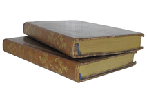 Jonathan Swift - Voyages de Gulliver illustr�e par Grandville - Paris 1838 (rara prima edizione) Jonathan Swift - Voyages de Gulliver illustr�e par Grandville - Paris 1838 (rara prima edizione)