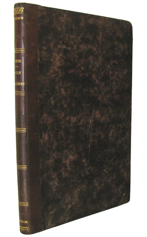 Jules Verne - Novelle fantastiche - Milano, Treves 1874 (prima edizione italiana - con molte figure) Jules Verne - Novelle fantastiche - Milano, Treves 1874 (prima edizione italiana - con molte figure)